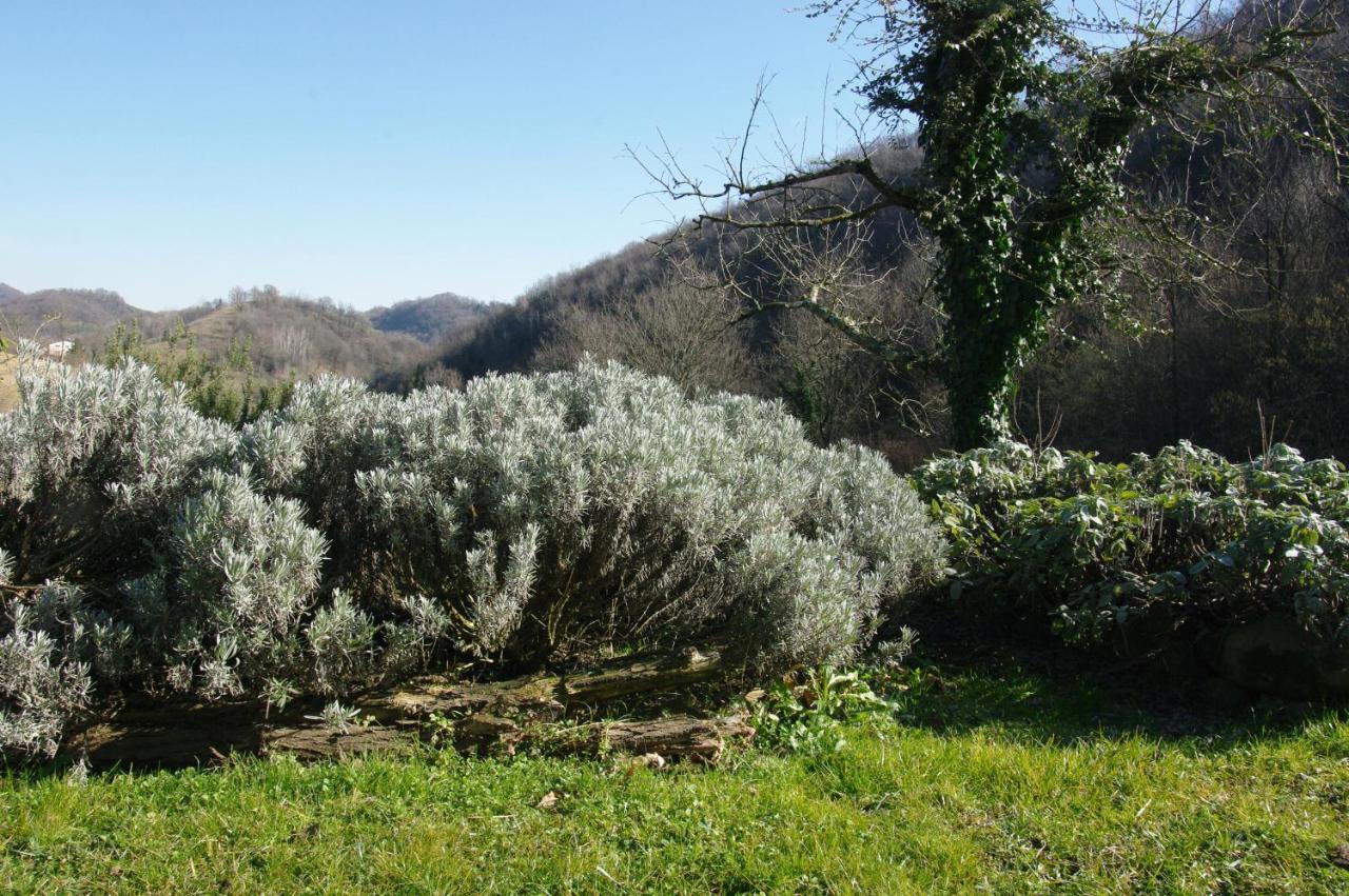 בסאנו דל גראפה Agriturismo Corte Del Maso מראה חיצוני תמונה